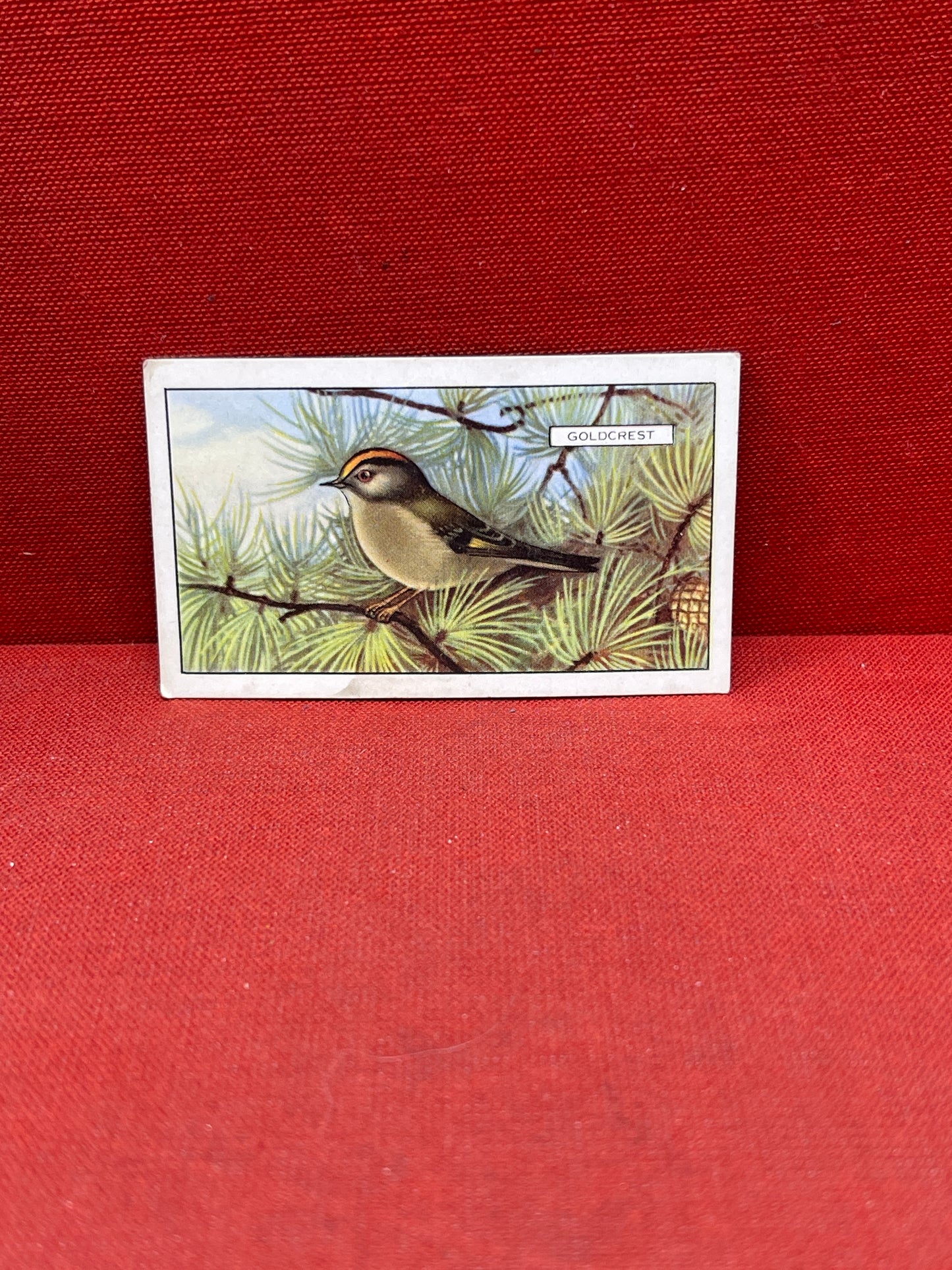 Gallaher Ltd British Birds Cigarette Cards 1937