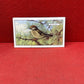 Gallaher Ltd British Birds Cigarette Cards 1937