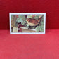 Gallaher Ltd British Birds Cigarette Cards 1937