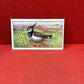 Gallaher Ltd British Birds Cigarette Cards 1937