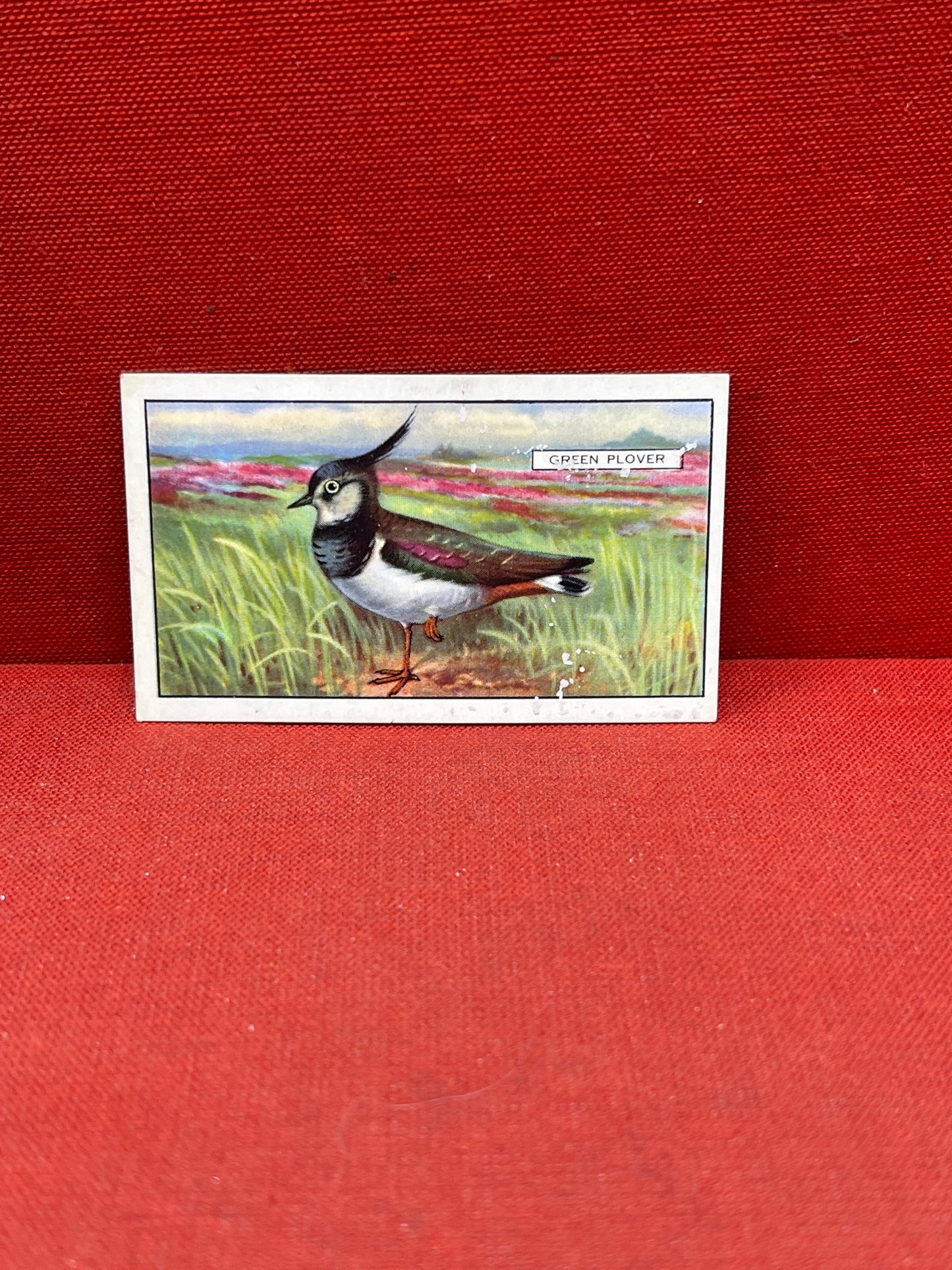 Gallaher Ltd British Birds Cigarette Cards 1937