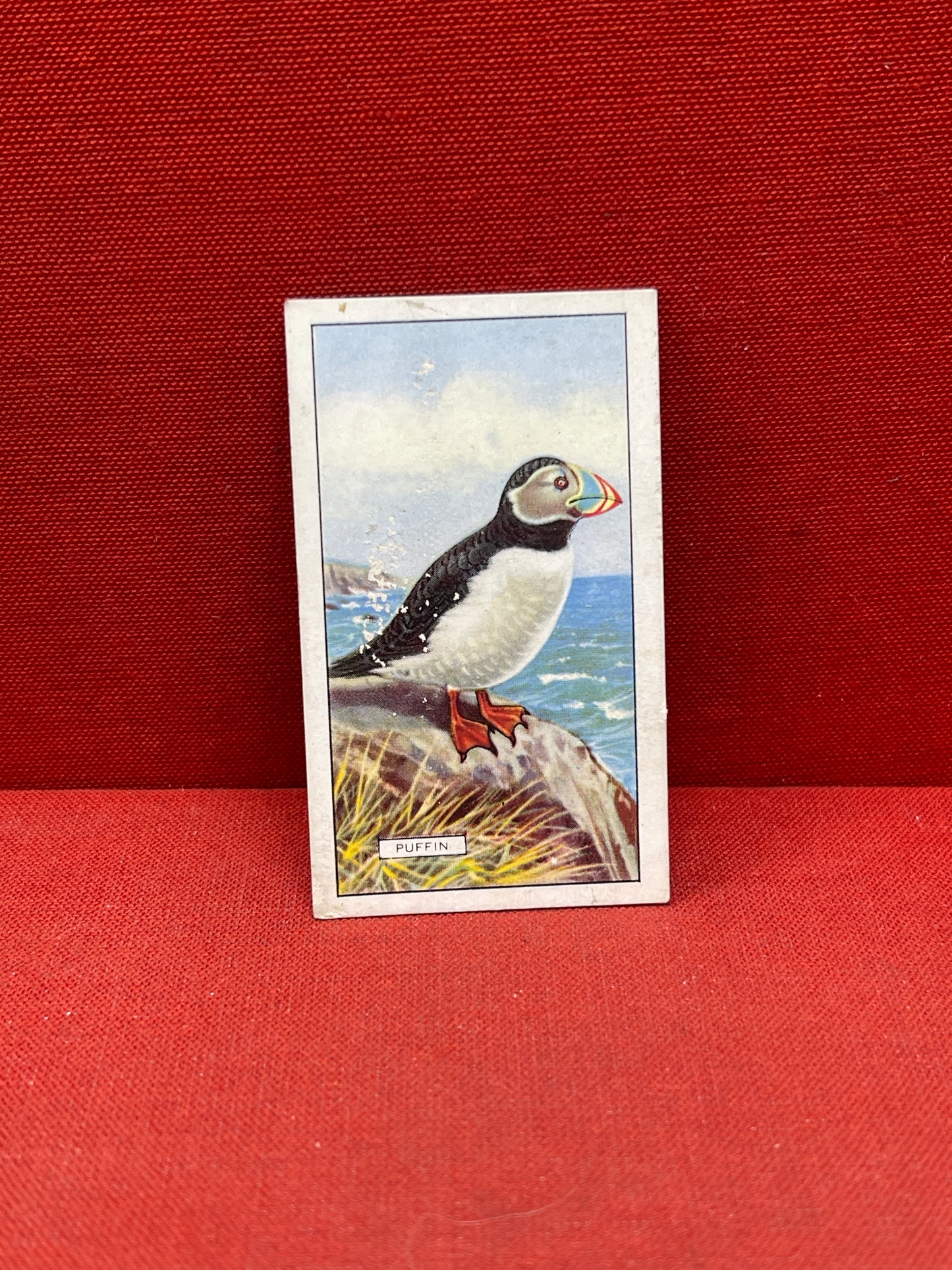 Gallaher Ltd British Birds Cigarette Cards 1937