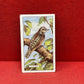 Gallaher Ltd British Birds Cigarette Cards 1937