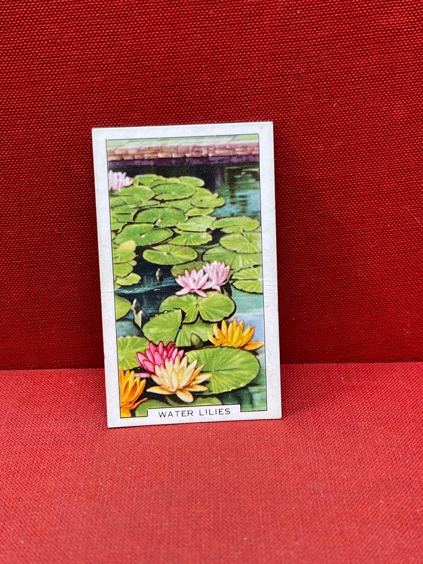 Gallaher Ltd Garden Flowers Cigarette Cards