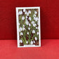 Gallaher Ltd Garden Flowers Cigarette Cards