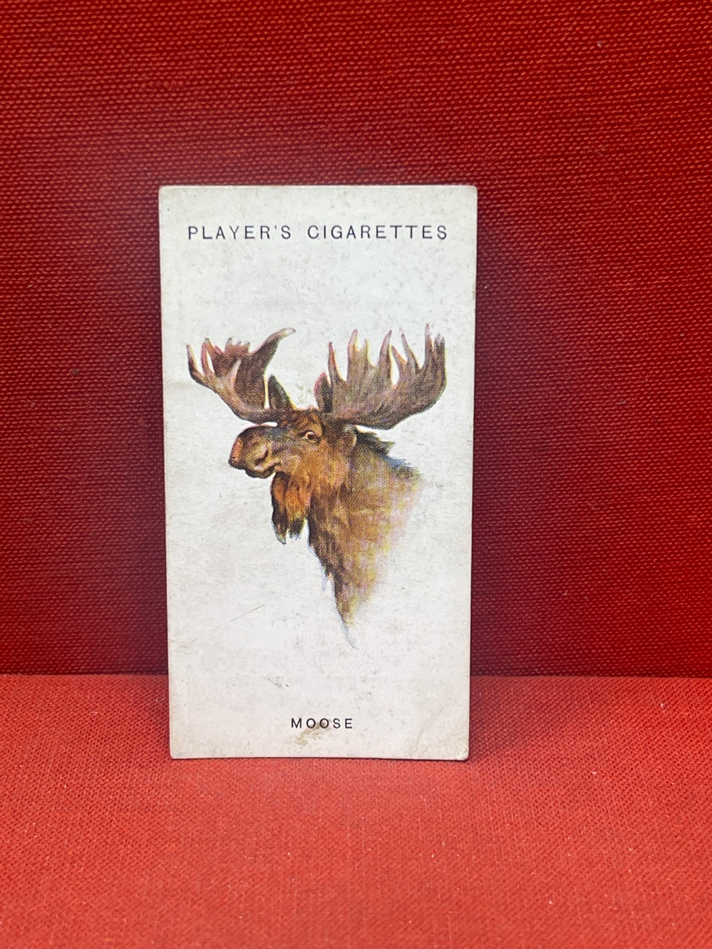 John Player & Sons Wild Animal Heads Cigarette Cards 1931