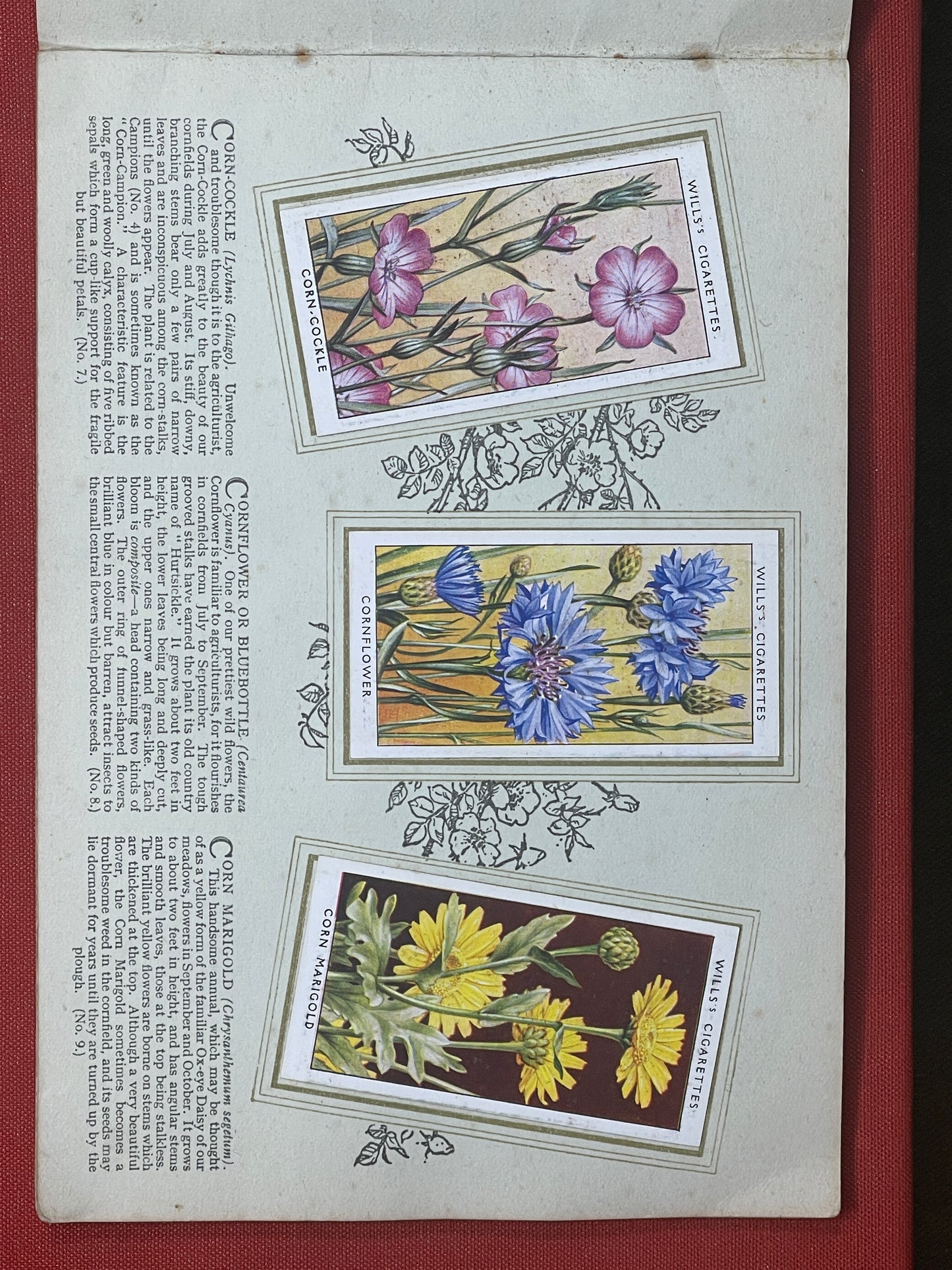 WD & HO Wills Wild Flowers Cigarette Card Album 1931