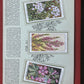 WD & HO Wills Wild Flowers Cigarette Card Album 1931