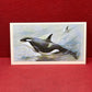 Players British Mammals Grandee Ltd Issue 1982 Cigarette Cards