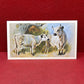 Players British Mammals Grandee Ltd Issue 1982 Cigarette Cards