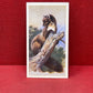 Players British Mammals Grandee Ltd Issue 1982 Cigarette Cards