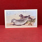 Players British Mammals Grandee Ltd Issue 1982 Cigarette Cards