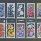 WD & HO Wills Garden Flowers Cigarette Cards