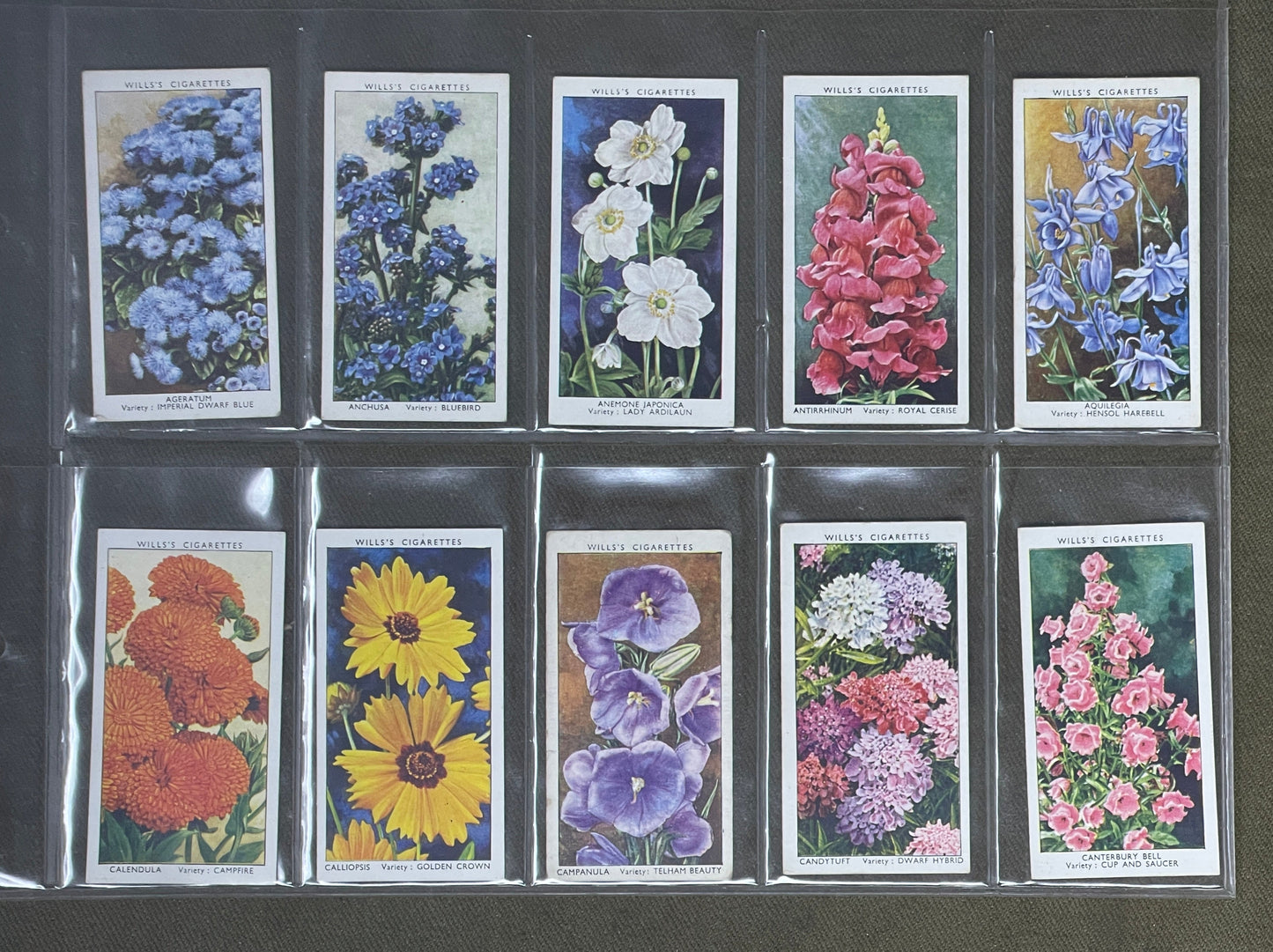 WD & HO Wills Garden Flowers Cigarette Cards