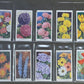 WD & HO Wills Garden Flowers Cigarette Cards