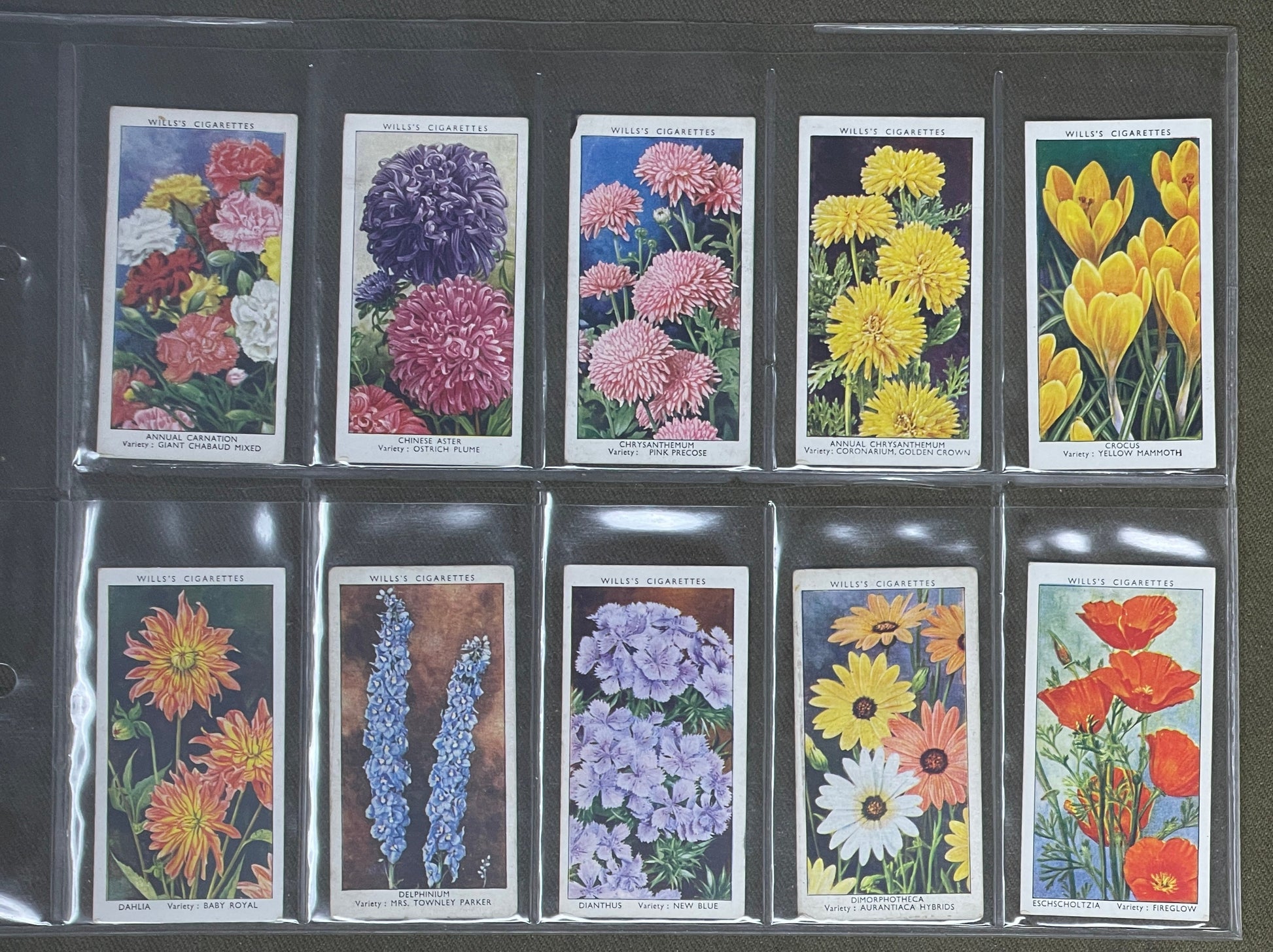 WD & HO Wills Garden Flowers Cigarette Cards