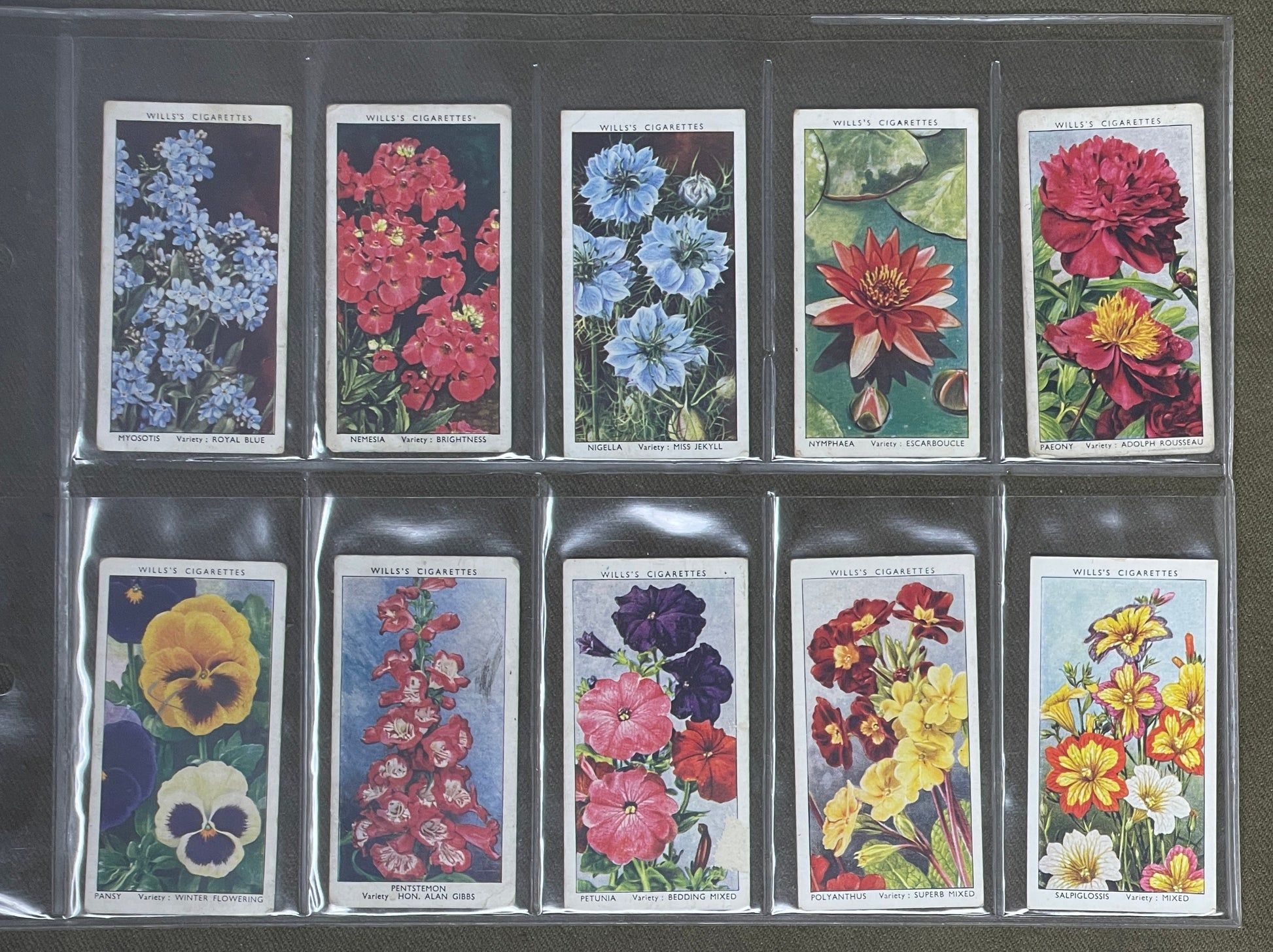 WD & HO Wills Garden Flowers Cigarette Cards