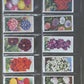 WD & HO Wills Garden Flowers Cigarette Cards