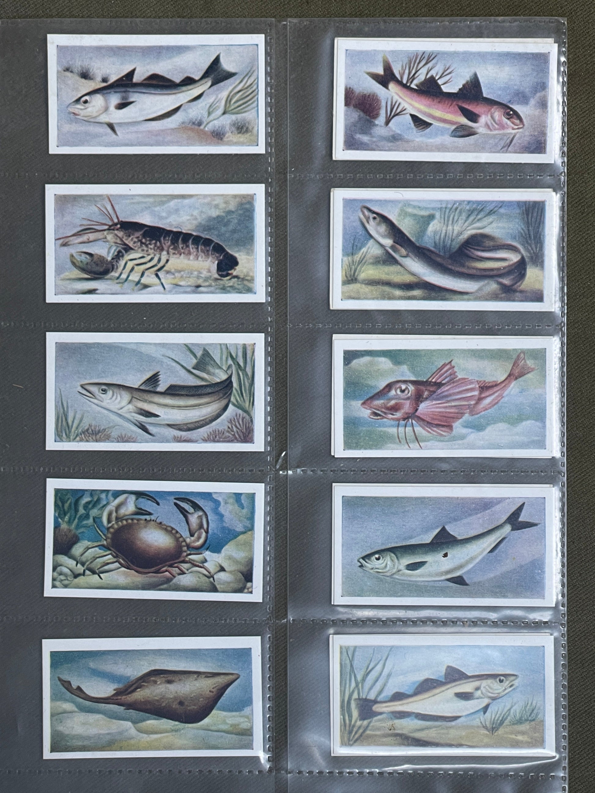 White Fish Authority" The Fish We Eat" Cigarette Cards