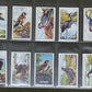 Gallaher Ltd British Birds Cigarette Cards