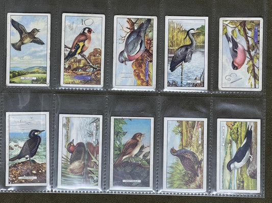 Gallaher Ltd British Birds Cigarette Cards