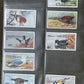 Gallaher Ltd British Birds Cigarette Cards