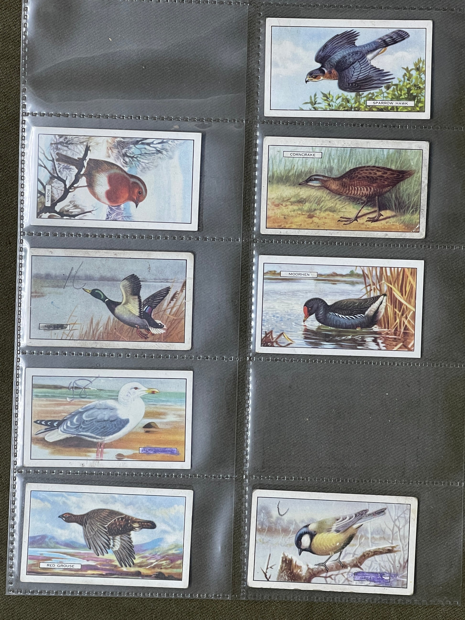 Gallaher Ltd British Birds Cigarette Cards