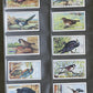 Gallaher Ltd British Birds Cigarette Cards