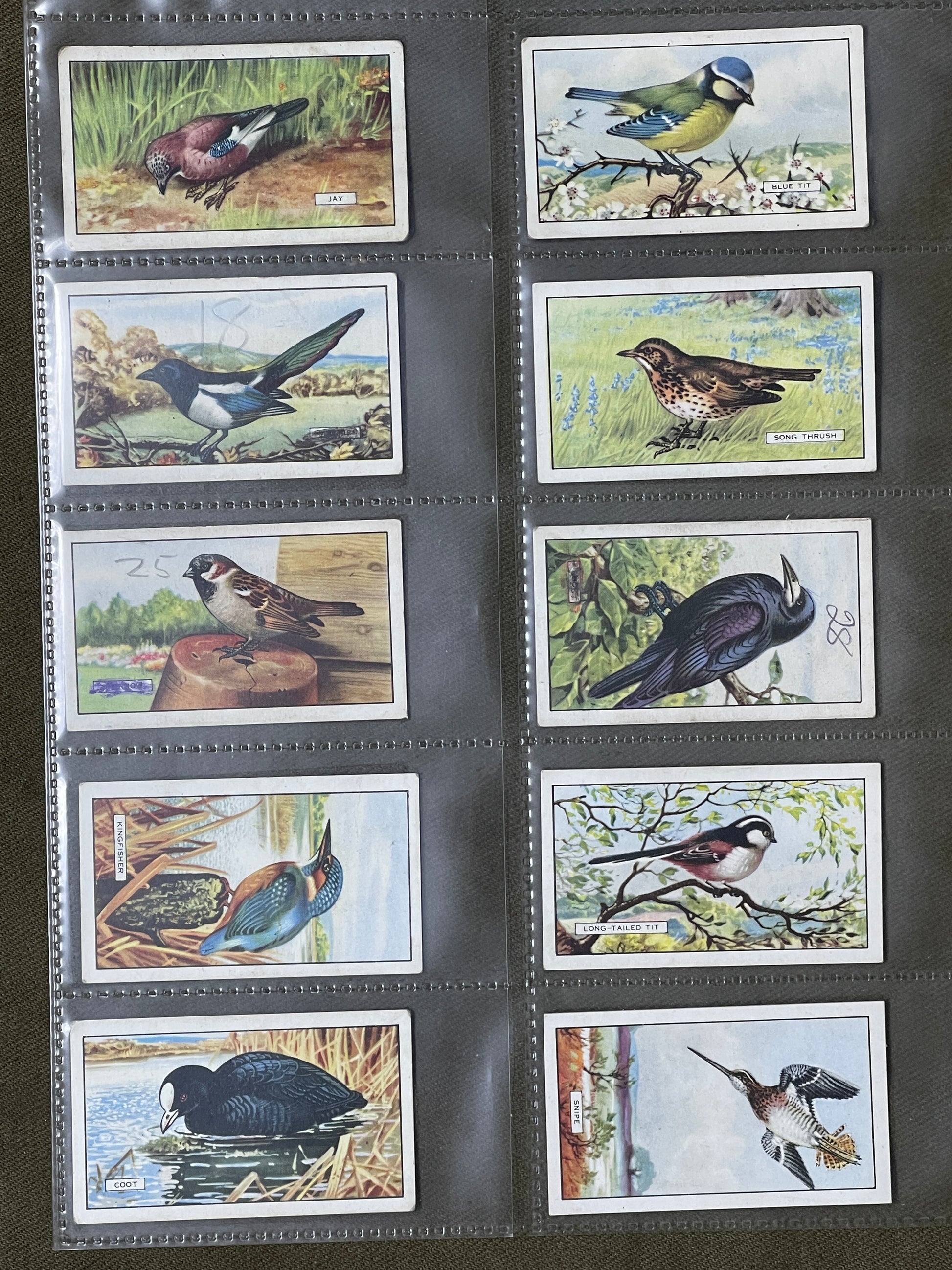 Gallaher Ltd British Birds Cigarette Cards