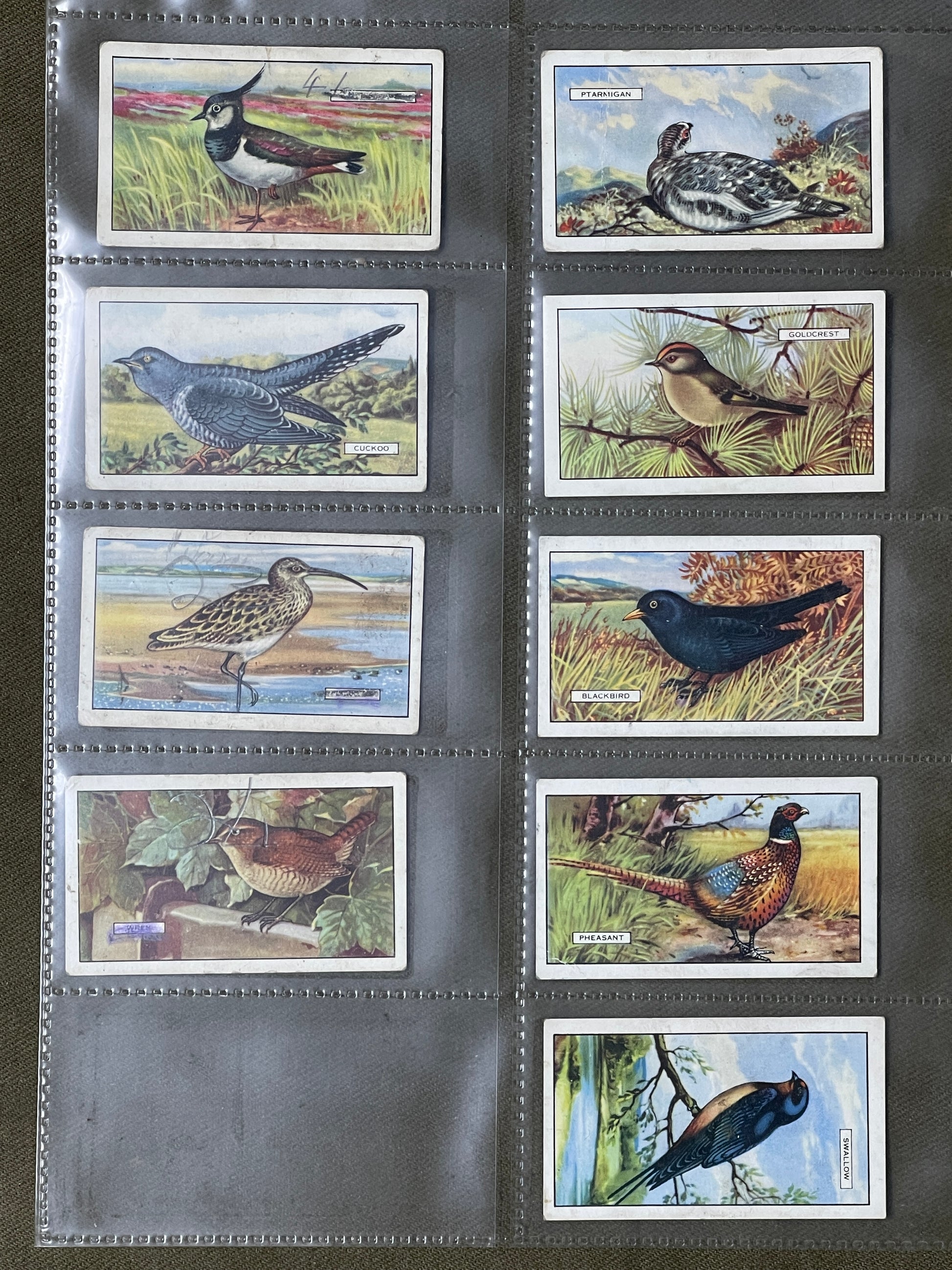 Gallaher Ltd British Birds Cigarette Cards