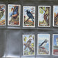 Gallaher Ltd British Birds Cigarette Cards