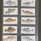 Sport Fish Cigarette Cards by Carreras Craven Black Cat