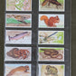 Brooke Bond A Journey Downsteam Cards 1990