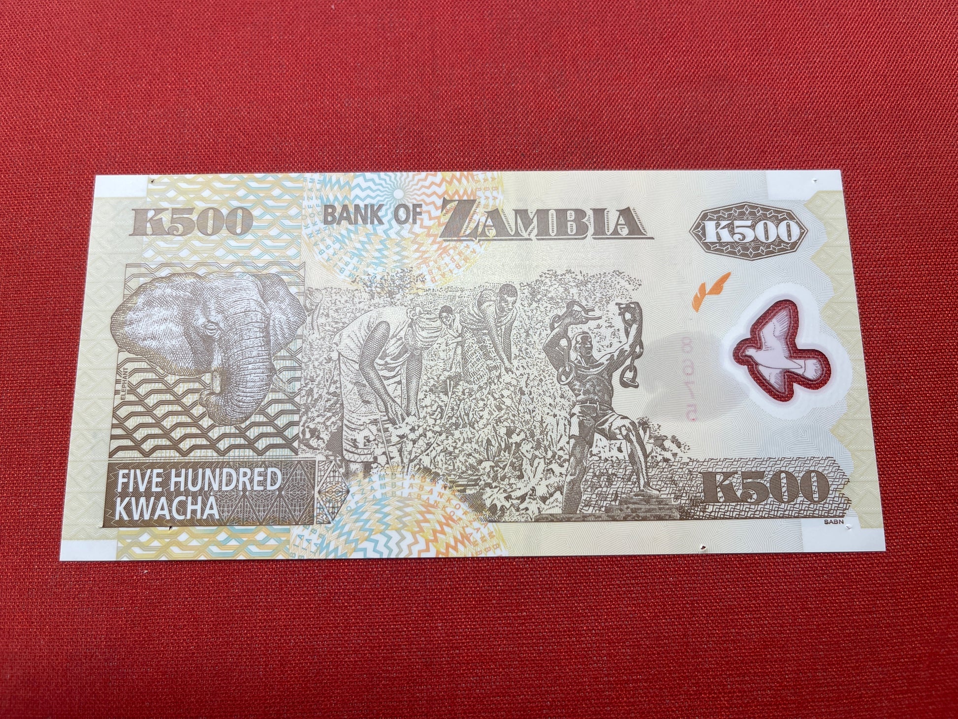 Bank of Zambia 500 Kwachi